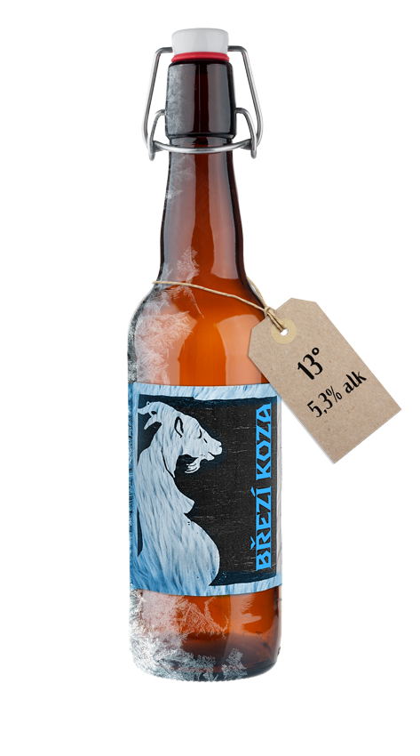Winter Session IPA